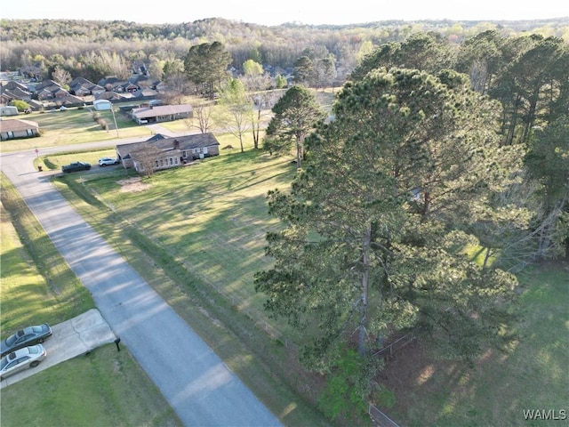 2996 Meadow St, Northport, AL 35475 - photo 41