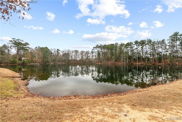 property view of water