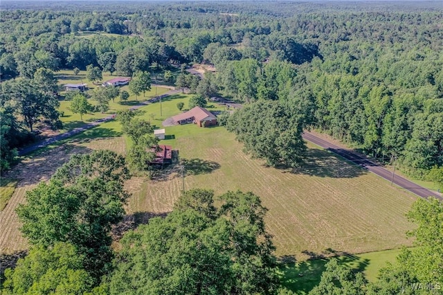 1749 Sand Springs Rd, Gordo, AL 35466 - photo 8