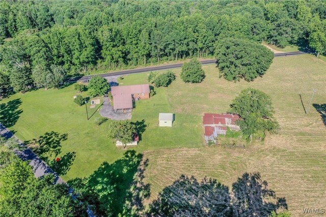 1749 Sand Springs Rd, Gordo, AL 35466 - photo 6
