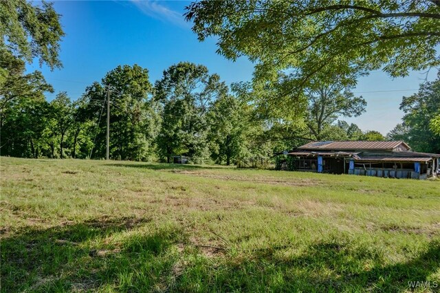 1749 Sand Springs Rd, Gordo, AL 35466 - photo 51