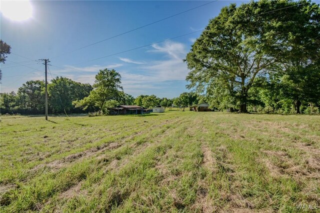 1749 Sand Springs Rd, Gordo, AL 35466 - photo 48