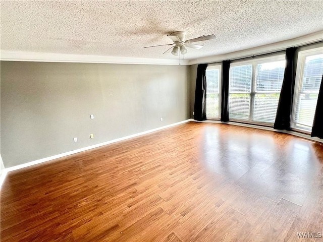 empty room with light hardwood / wood-style floors and ceiling fan