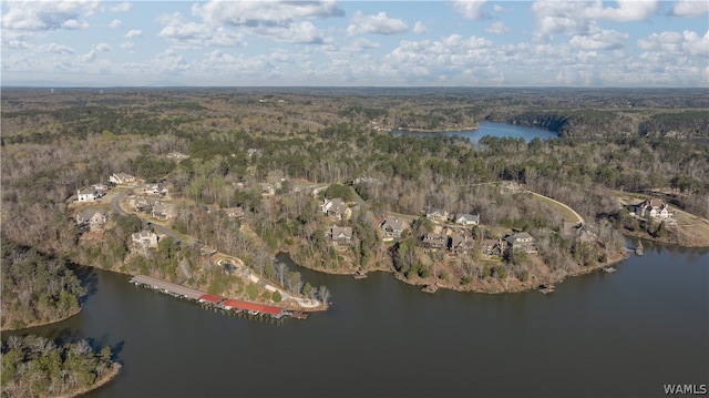 10628 Legacy Point Dr, Northport, AL 35475