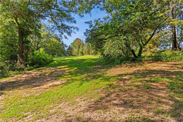 10567 Sipsey Valley Rd S, Buhl, AL 35446 - photo 4