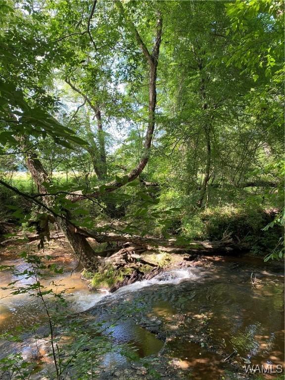13205 Northside Rd, Berry, AL 35546