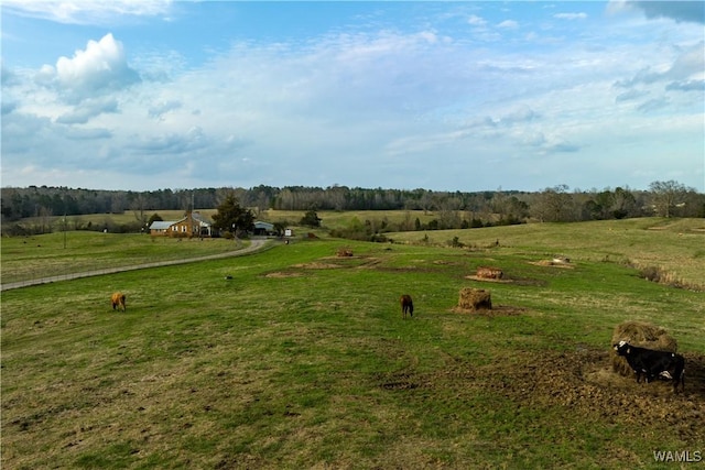 13205 Northside Rd, Berry, AL 35546