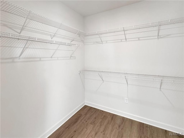 walk in closet featuring hardwood / wood-style flooring