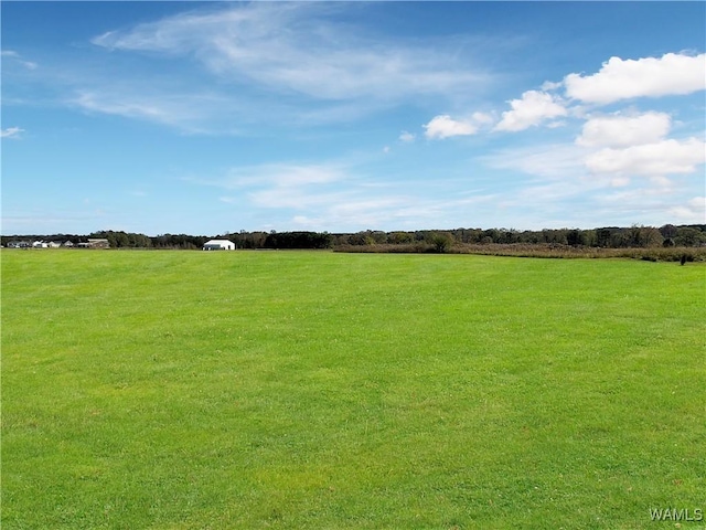 view of yard with a rural view