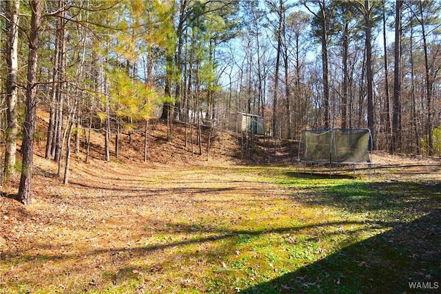 view of yard with a trampoline