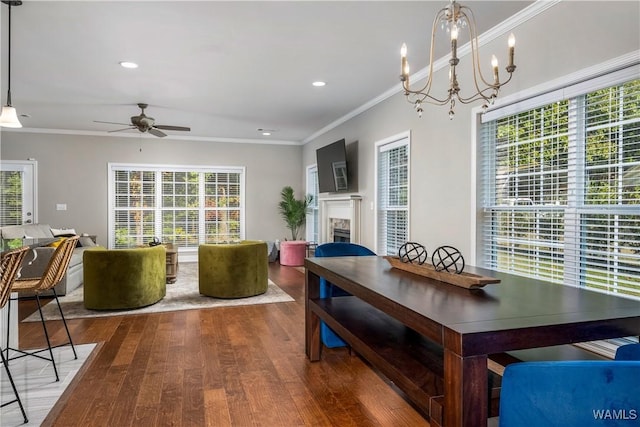 dining space featuring crown molding, recessed lighting, a fireplace, ceiling fan with notable chandelier, and wood finished floors