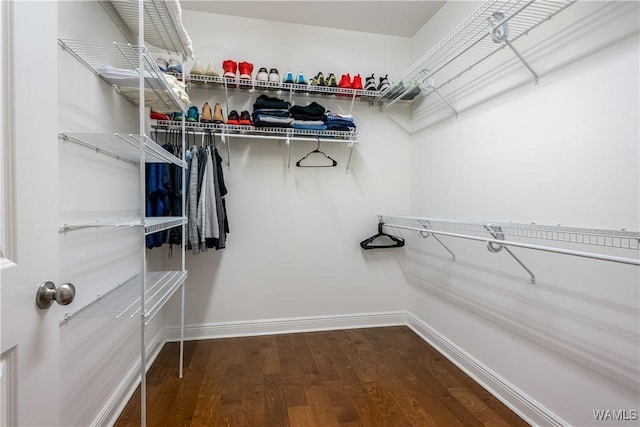 spacious closet with wood finished floors