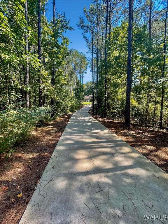 view of street with a wooded view