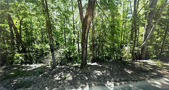 0 Kimberly Dr, Lake View AL, 35111 land for sale