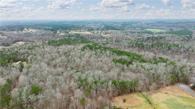 00001 Candy Dr, Northport, AL 35475 - photo 36
