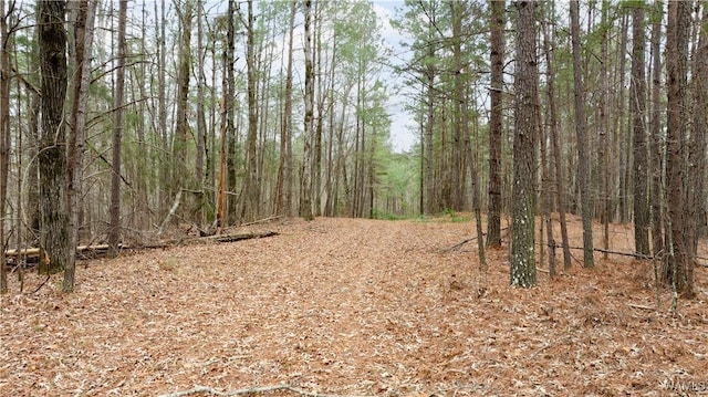 00001 Candy Dr, Northport, AL 35475 - photo 49
