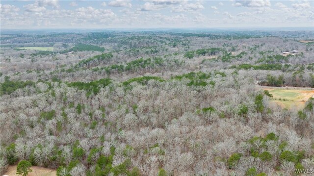 00001 Candy Dr, Northport, AL 35475 - photo 37