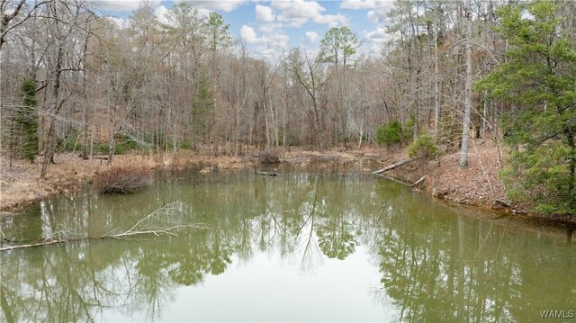 00001 Candy Dr, Northport, AL 35475 - photo 7