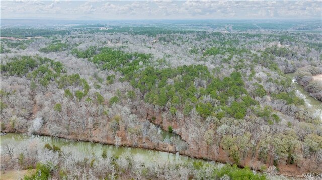 00001 Candy Dr, Northport, AL 35475 - photo 43