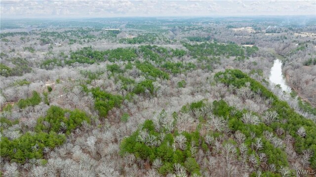 00001 Candy Dr, Northport, AL 35475 - photo 46