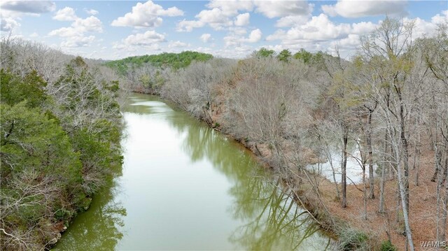 00001 Candy Dr, Northport, AL 35475 - photo 3