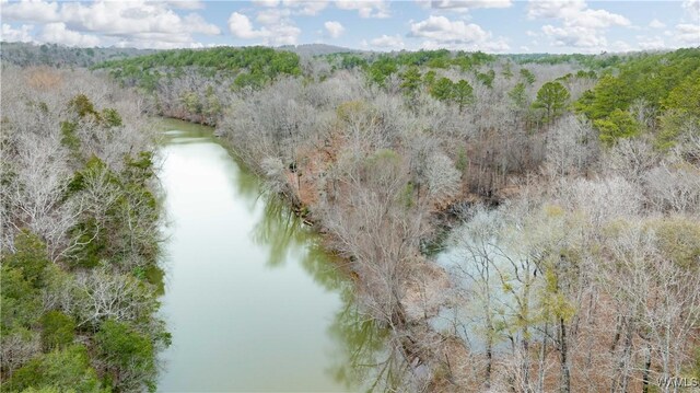 00001 Candy Dr, Northport, AL 35475 - photo 4