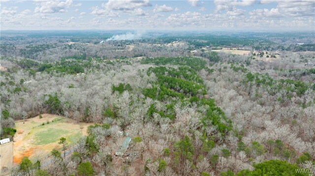 00001 Candy Dr, Northport, AL 35475 - photo 33