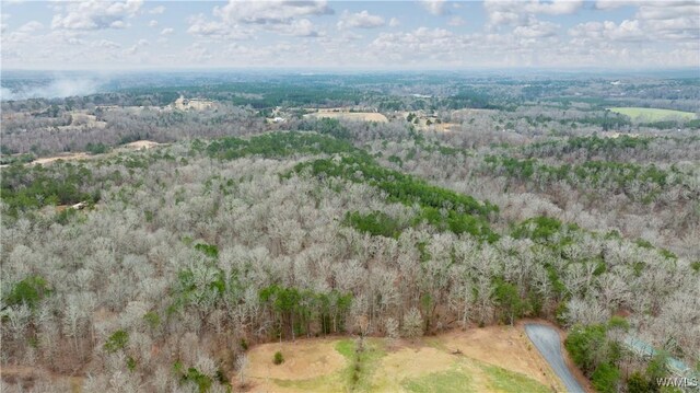 00001 Candy Dr, Northport, AL 35475 - photo 35