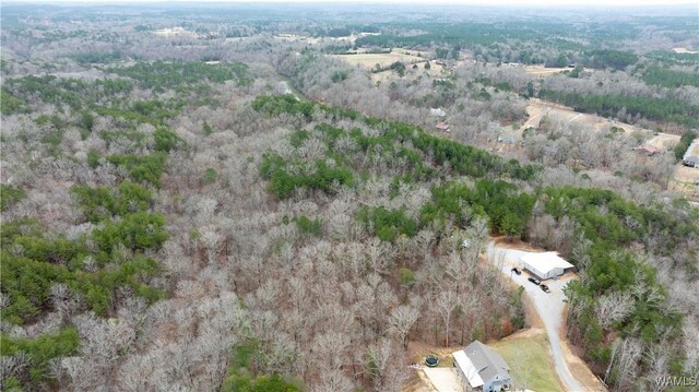00001 Candy Dr, Northport, AL 35475 - photo 9