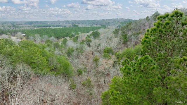 00001 Candy Dr, Northport, AL 35475 - photo 30
