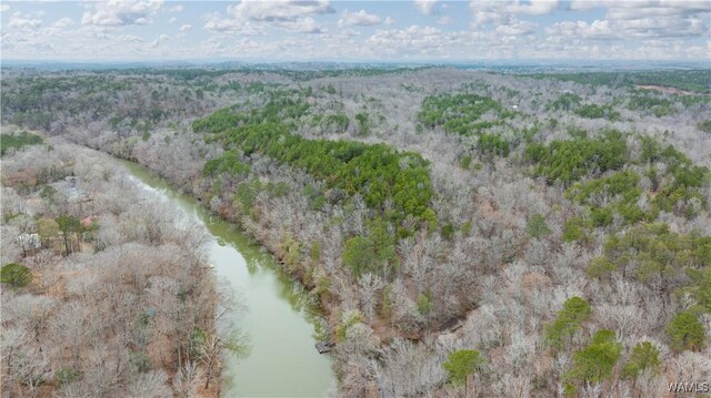 00001 Candy Dr, Northport, AL 35475 - photo 13