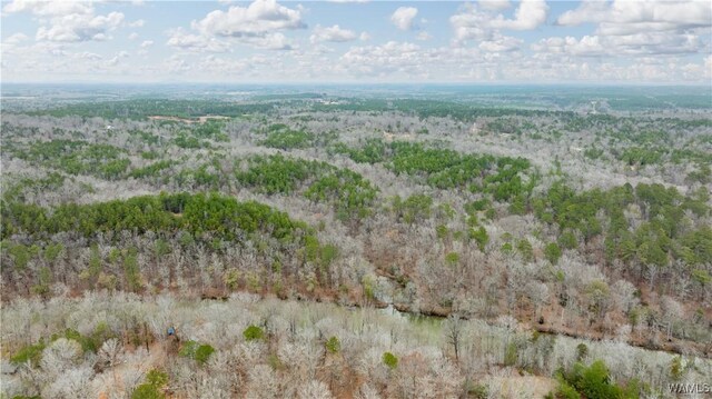 00001 Candy Dr, Northport, AL 35475 - photo 44