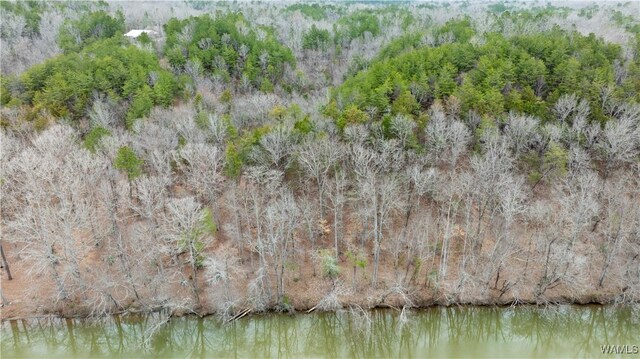 00001 Candy Dr, Northport, AL 35475 - photo 17