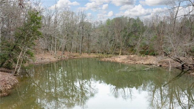 00001 Candy Dr, Northport, AL 35475 - photo 6