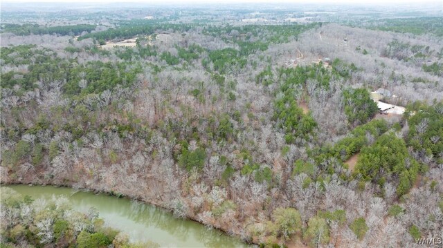 00001 Candy Dr, Northport, AL 35475 - photo 21