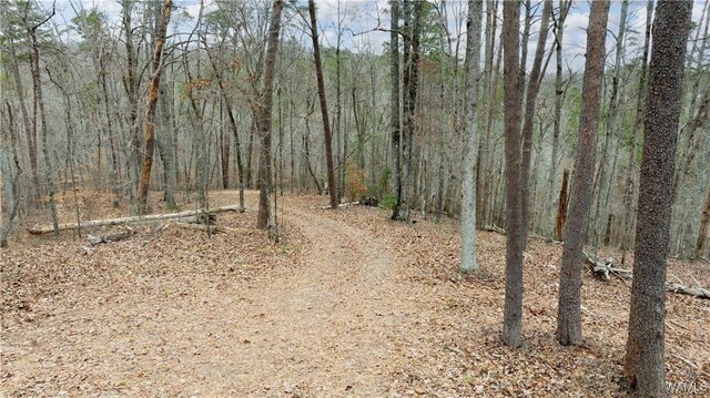 00001 Candy Dr, Northport, AL 35475 - photo 31