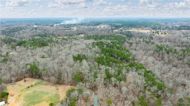 00001 Candy Dr, Northport, AL 35475 - photo 34