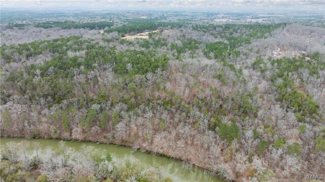 00001 Candy Dr, Northport, AL 35475 - photo 24