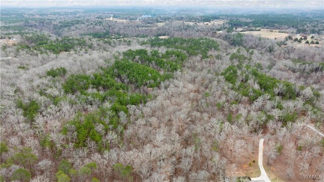 00001 Candy Dr, Northport, AL 35475 - photo 47