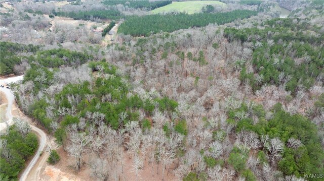 00001 Candy Dr, Northport, AL 35475 - photo 27