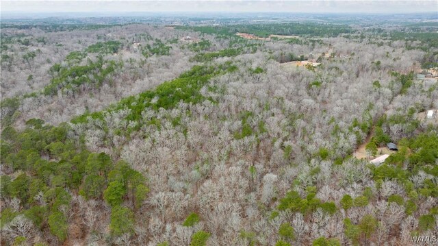 00001 Candy Dr, Northport, AL 35475 - photo 38
