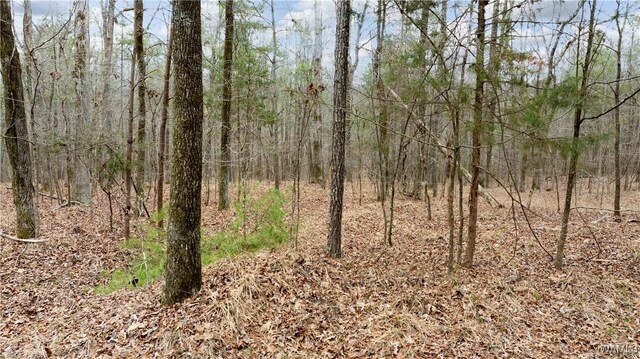 00001 Candy Dr, Northport, AL 35475 - photo 51