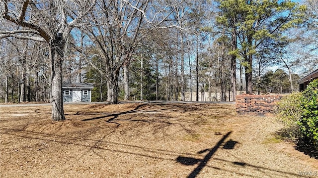 view of yard with a shed