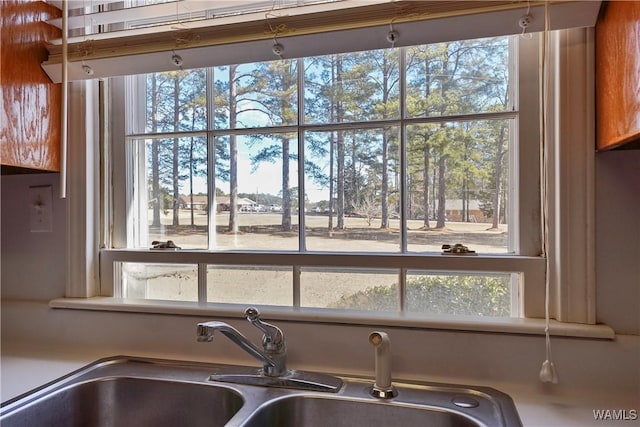 interior details featuring sink