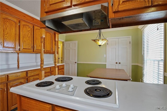 kitchen featuring white electric cooktop, extractor fan, decorative light fixtures, and plenty of natural light