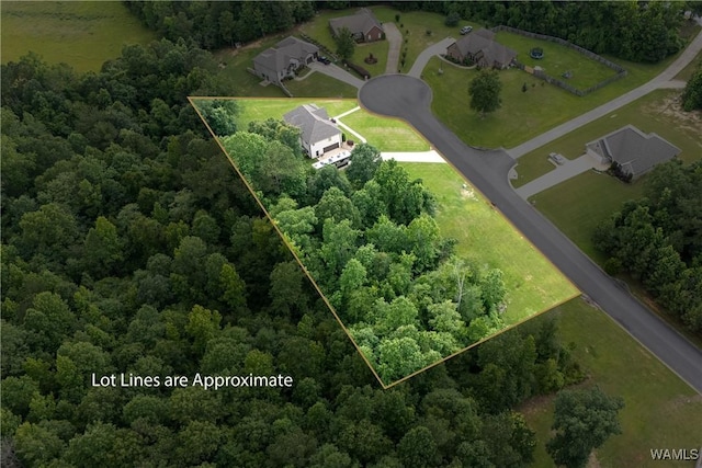 10488 Nicole St, Vance, AL 35490 - aerial overview of property's location with property boundaries highlighted and a forest