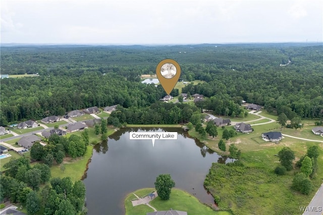10488 Nicole St, Vance, AL 35490 - drone / aerial view of a heavily wooded area and a nearby body of water