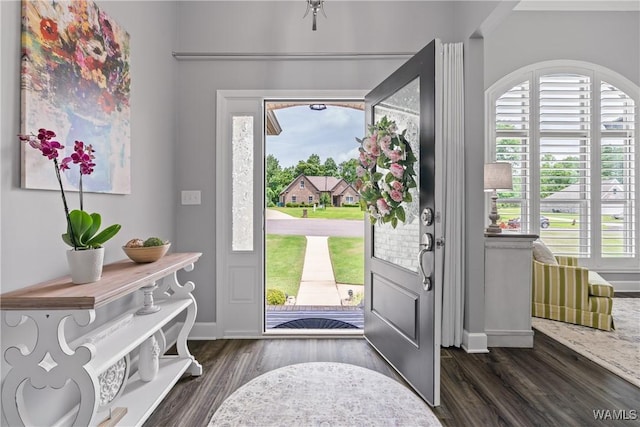 10488 Nicole St, Vance, AL 35490 - entrance foyer with dark wood finished floors and plenty of natural light