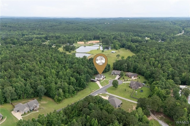 10488 Nicole St, Vance, AL 35490 - aerial view of property and surrounding area with a forest and a nearby body of water