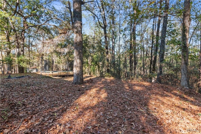 view of local wilderness